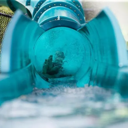 アパート In Trakia Plaza Complex *